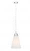 BRINE 28 PENDANT LIGHT NICKEL